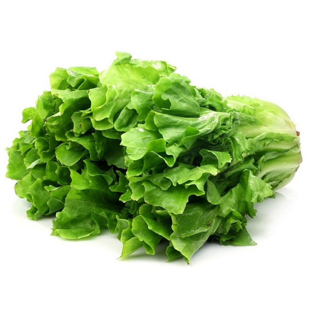 Andijvie 1 kg Biomarkt