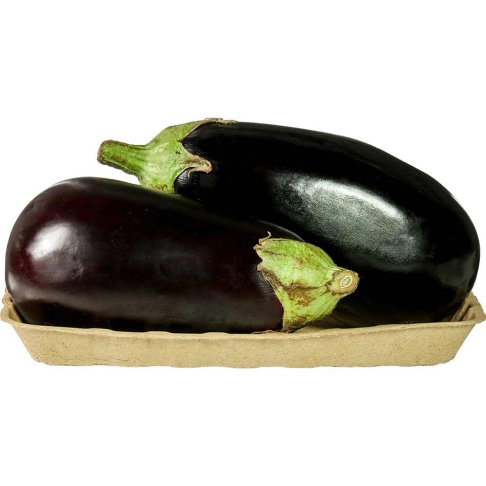 Aubergine 2 Stuks