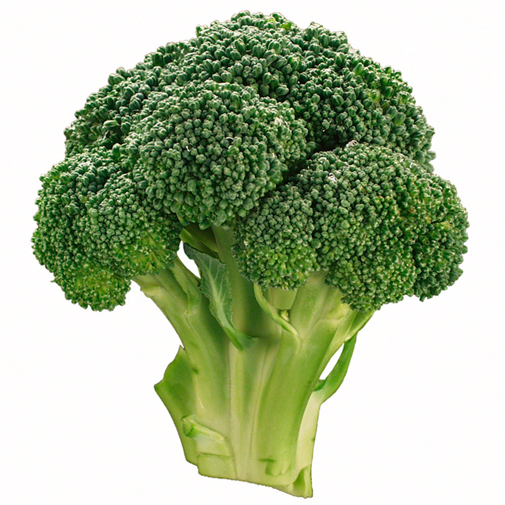 Biologische Broccoli 1 kilo. Biomarkt