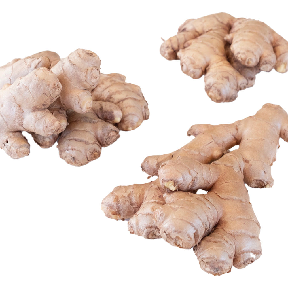 Biologische Gember 1 Kg Biomarkt