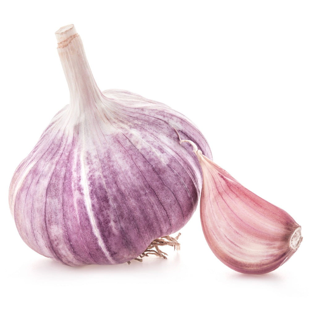 Biologische Knoflook 1 Kg Biomarkt