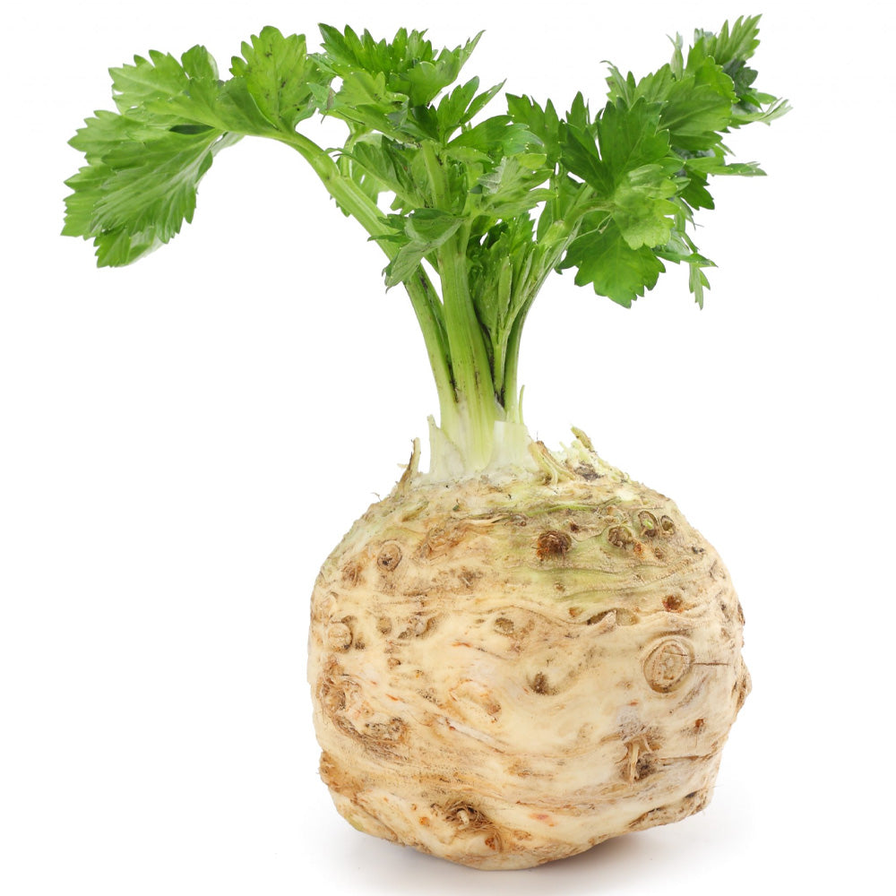 Biologische Knolselderij 1st. Biomarkt