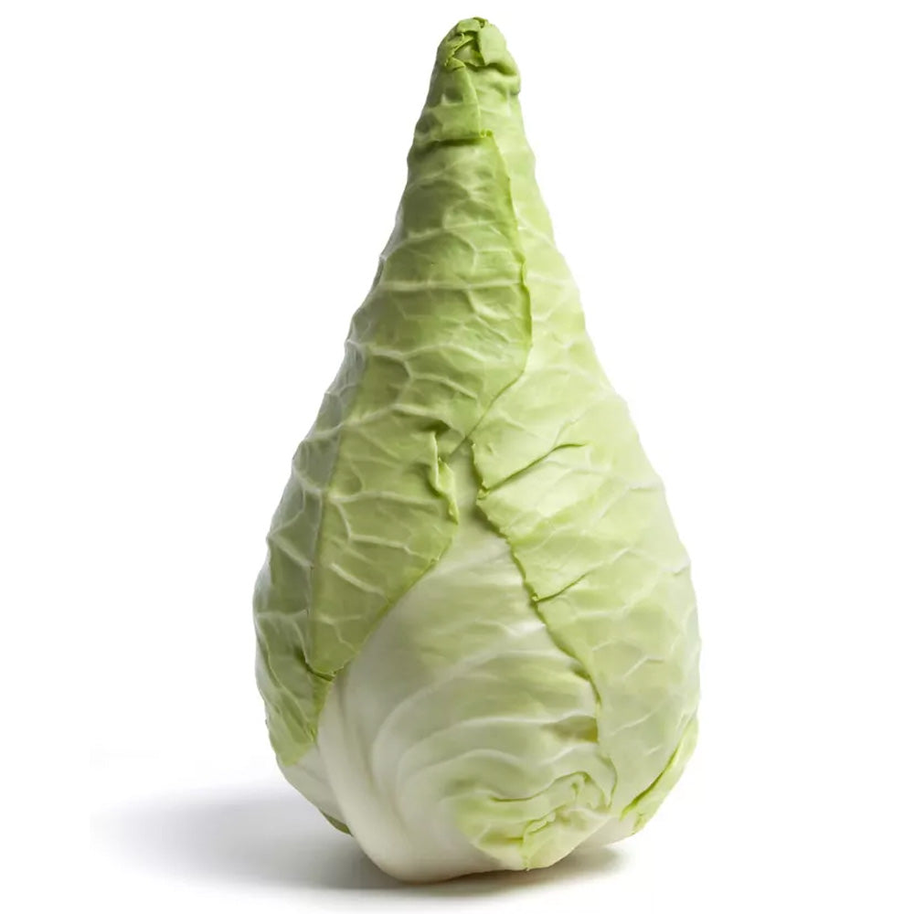 Biologische Spitskool 1st Biomarkt