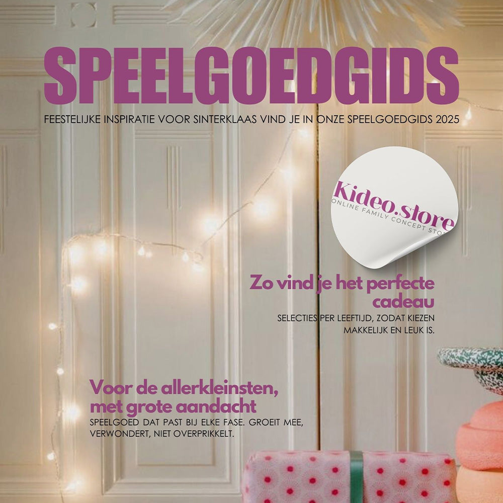 Speelgoedgids: eBook