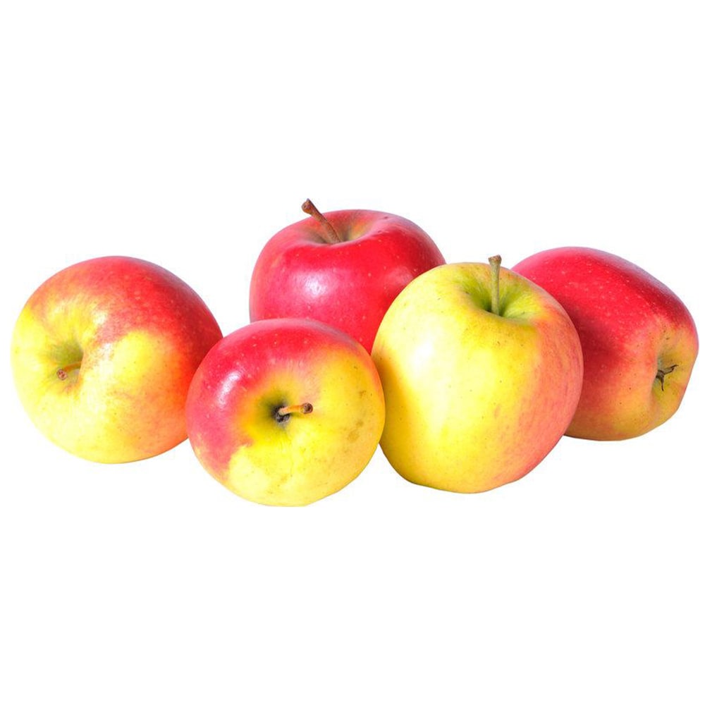 Elshof BelleBio Appels 80-90
