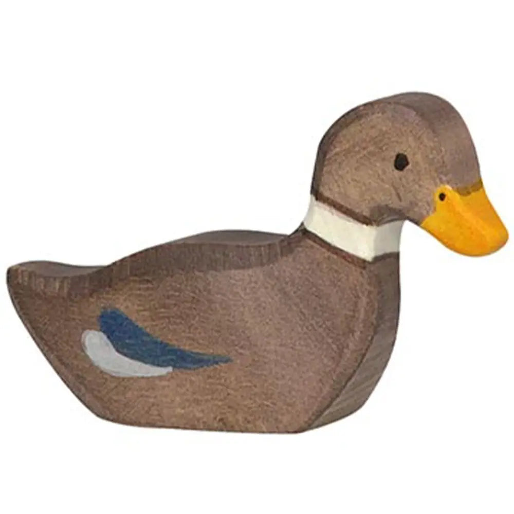 Holztiger Eend Zwemmend Holztiger