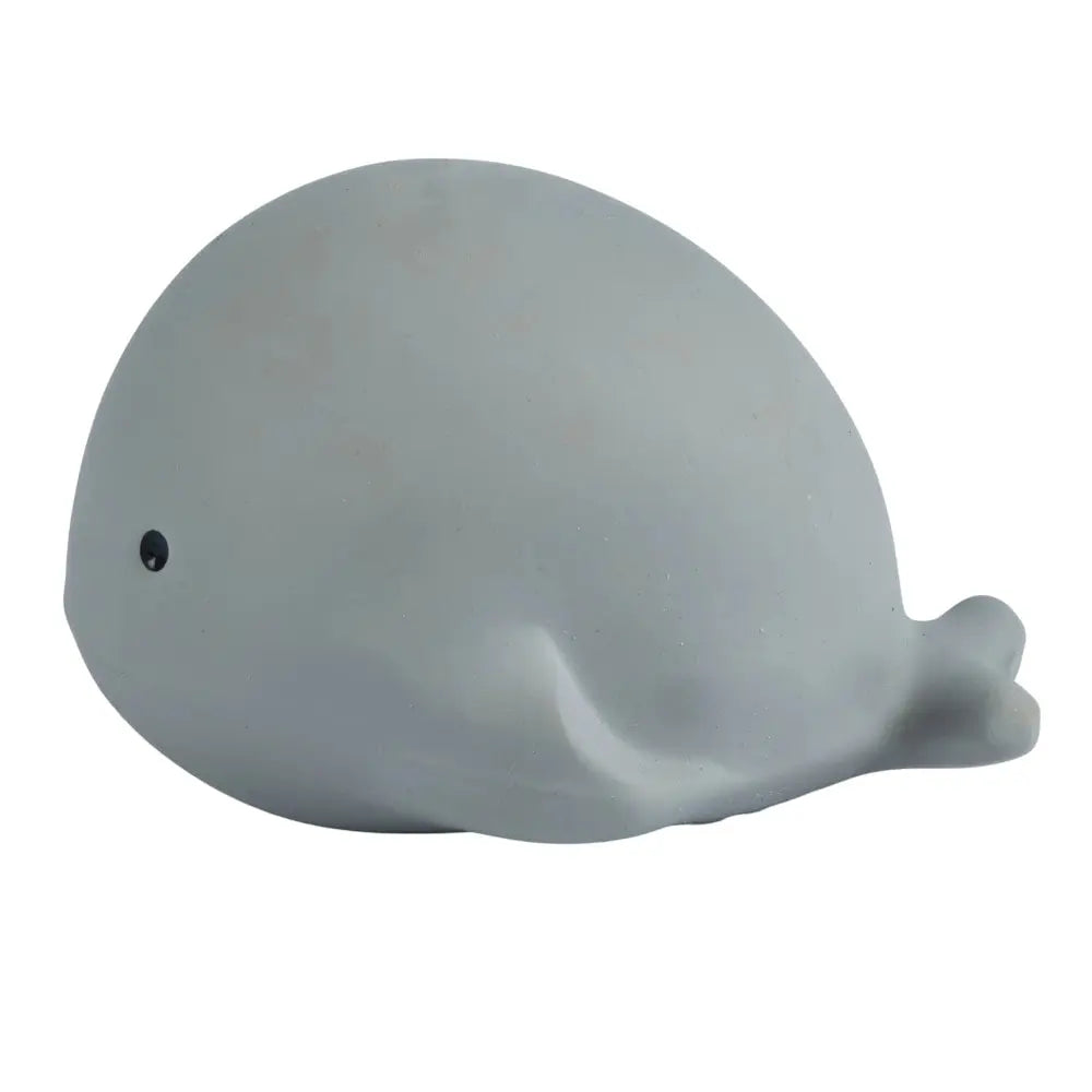 Tikiri Badspeeltje walvis-min