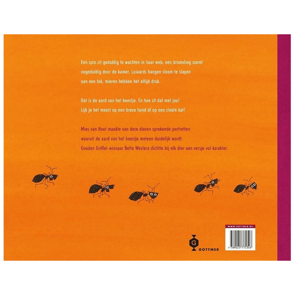 brave-hond-stoute-kat-2-min