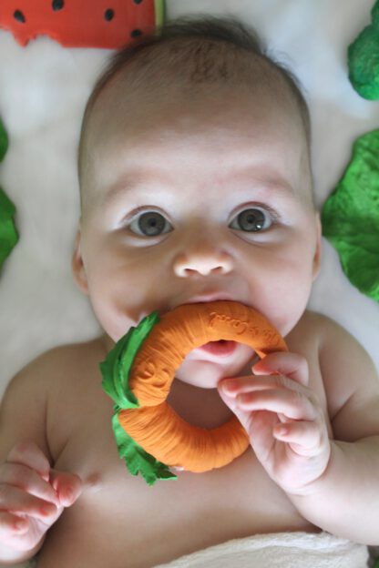 cathy_the_carrot_13_-416x624