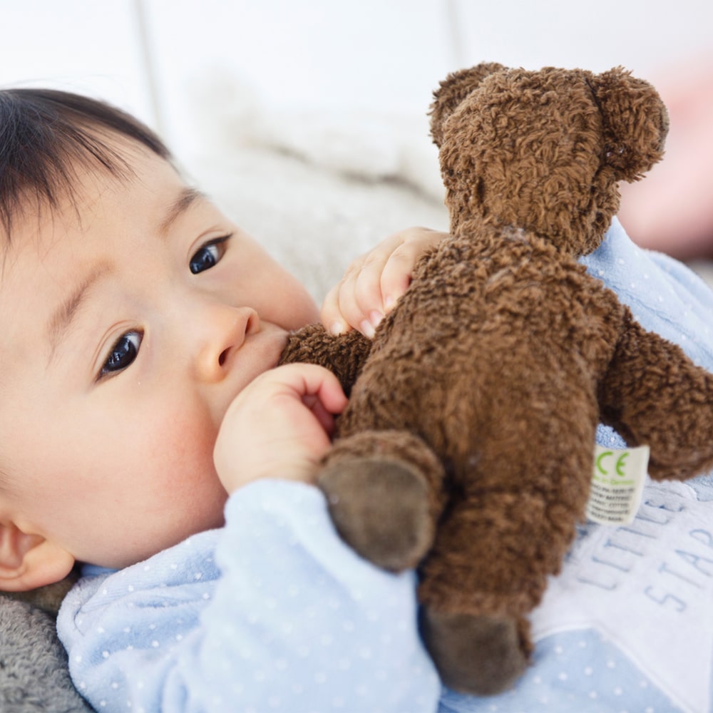 senger-naturwelt-baby-beer-bruin-min
