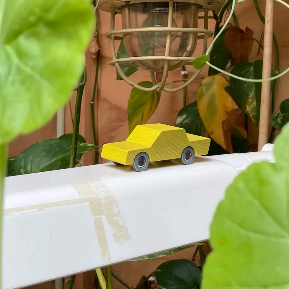 way-to-play-back-and-fourth-care-geel-2-min