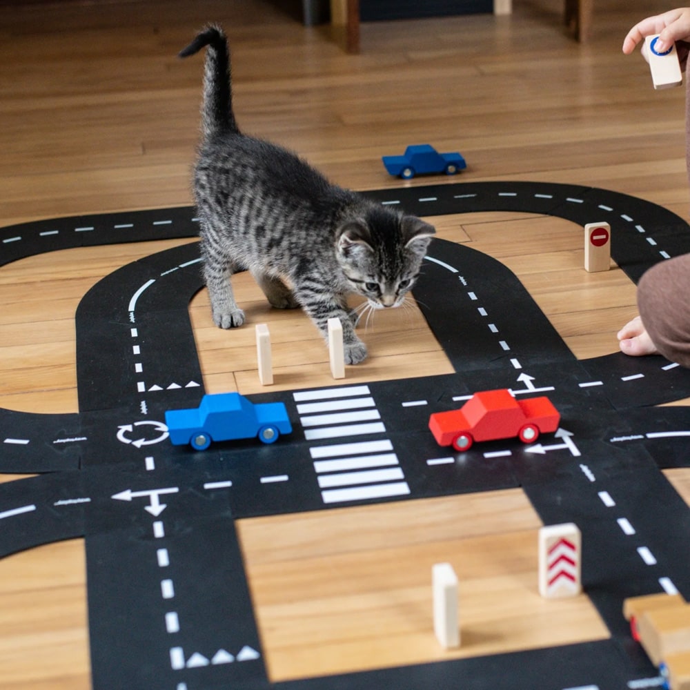 way-to-play-king-of-the-road-car-edition-1-min