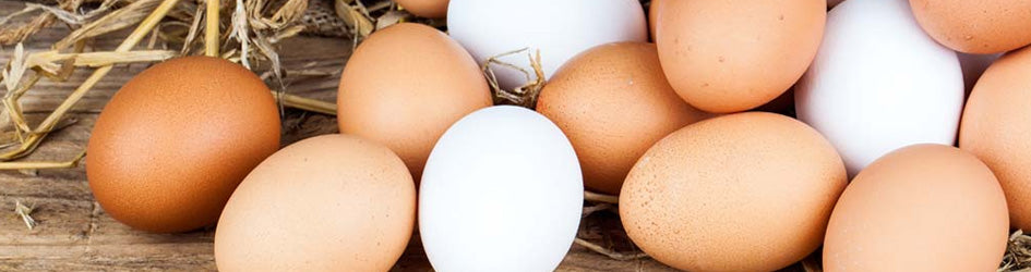 eieren-banner
