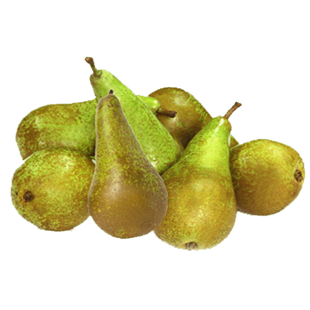 Anjou Peren