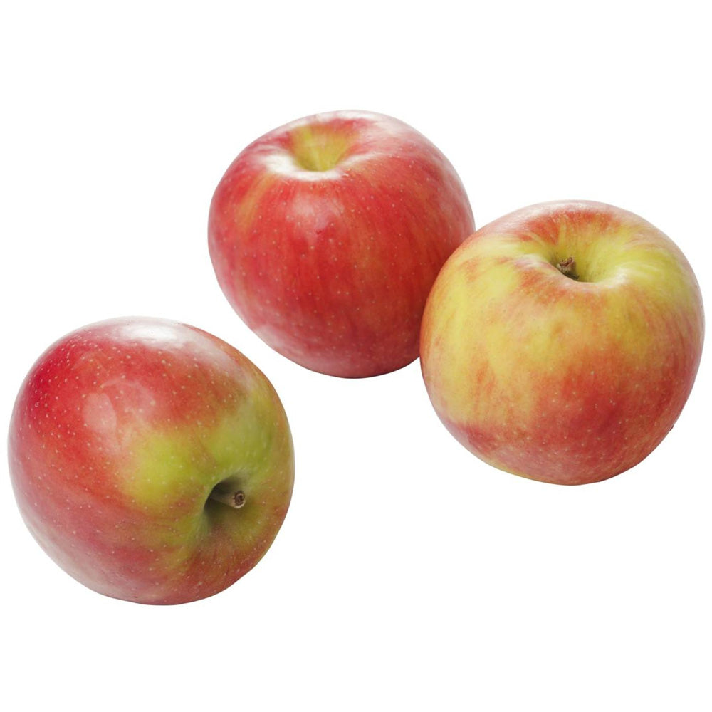 Biologische Elstar Appels 1 Kg Biomarkt