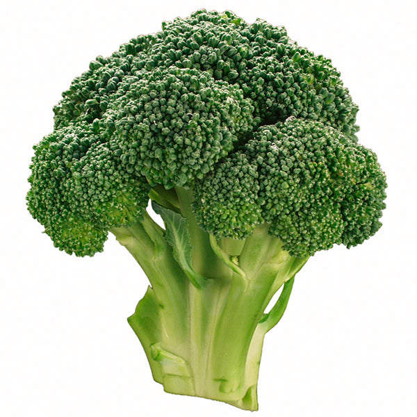Biologische Broccoli 1 kilo. Biomarkt