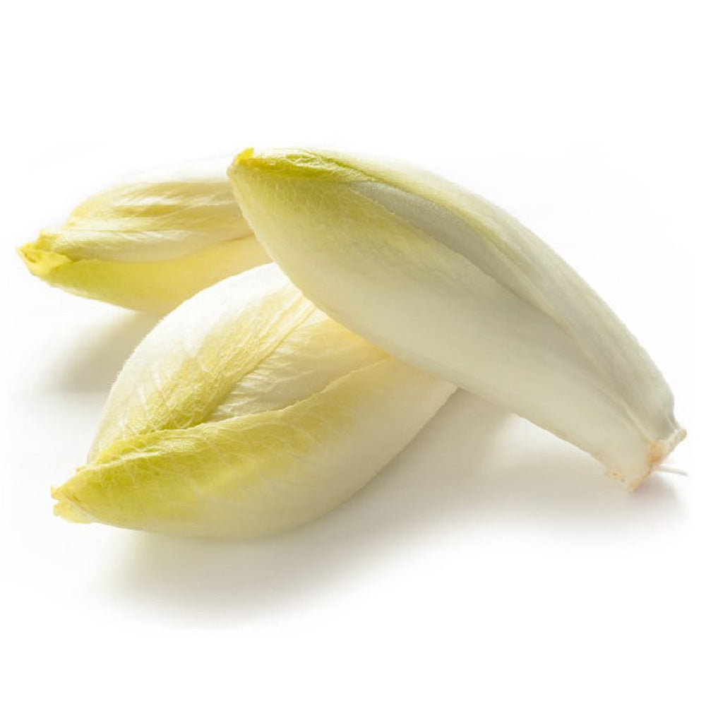 Biologische Witlof 1 KG Biomarkt