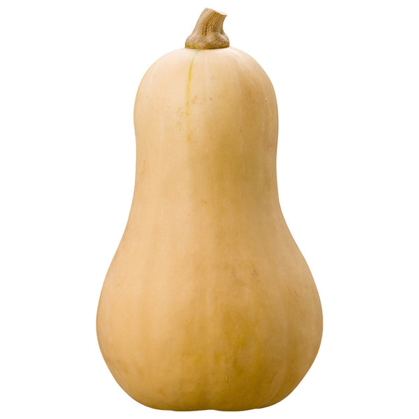 Butternut Pompoen 1kg Biomarkt