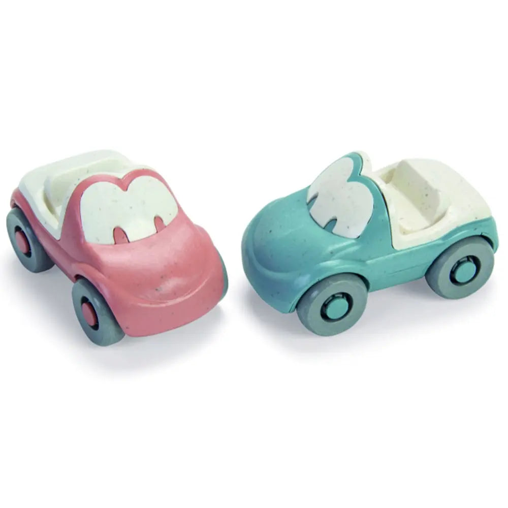Dantoy Tiny BIOplastic Funcars - Set Van 2 Dantoy