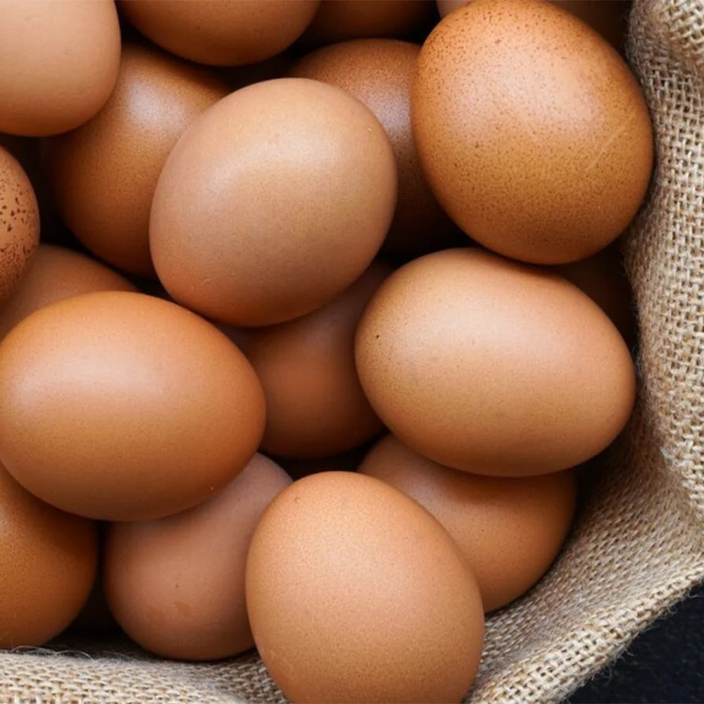 Biologische Eieren 10 Stuks Biomarkt