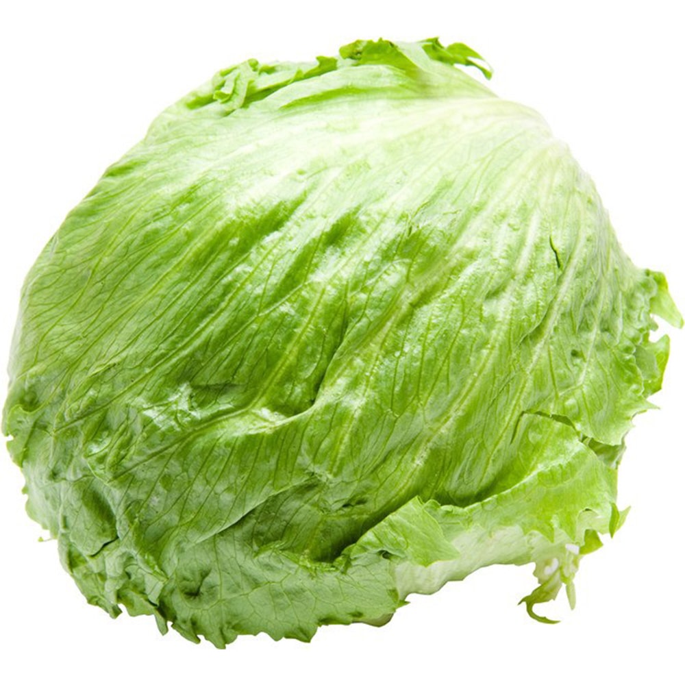 Iceberg lettuce