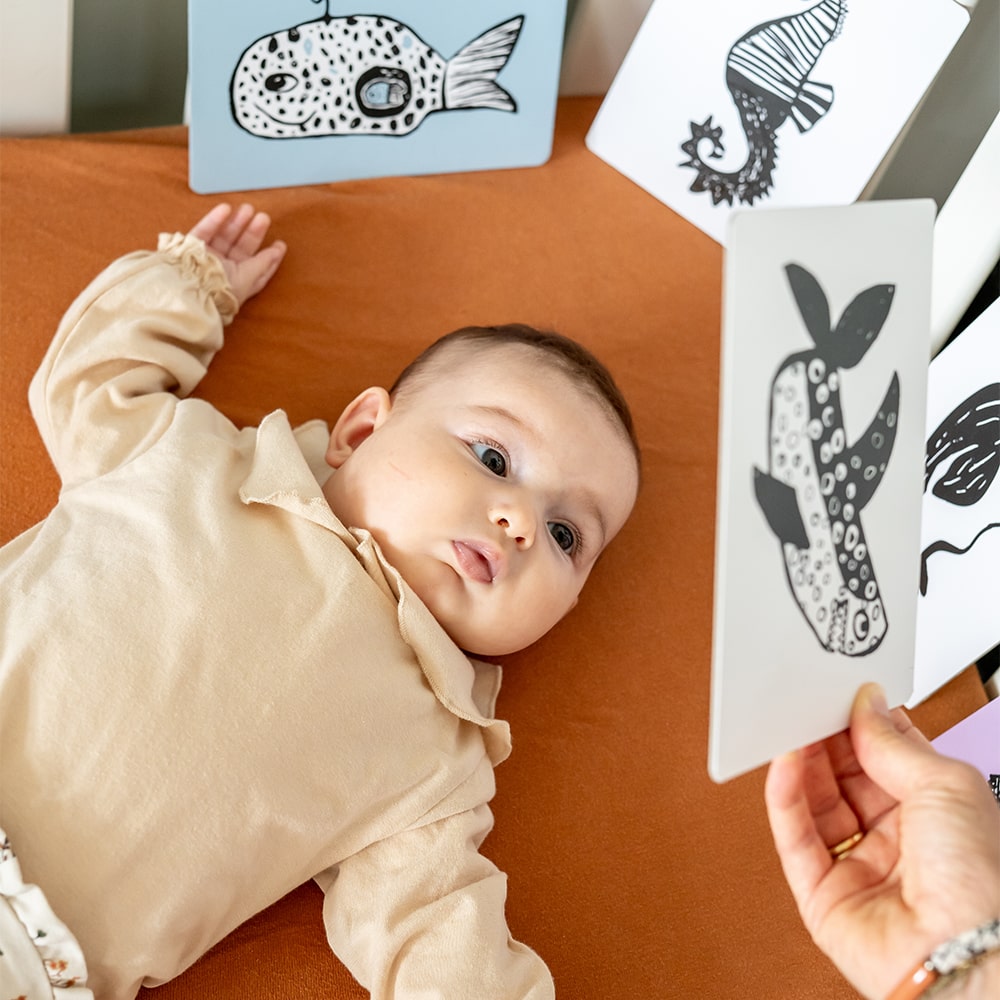 Mini Coco Flash Cards - Ocean Mini Coco