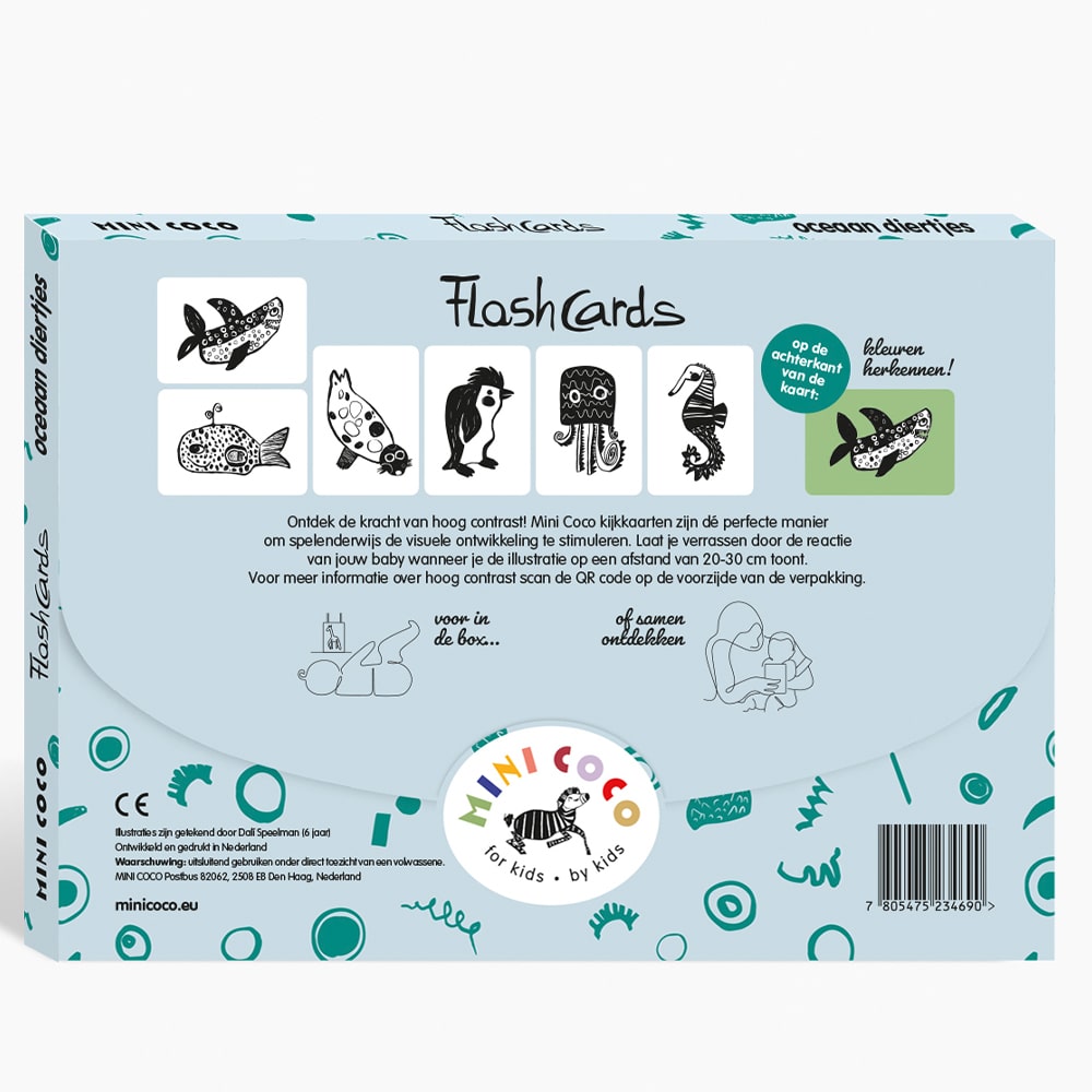 Mini Coco Flash Cards - Ocean Mini Coco