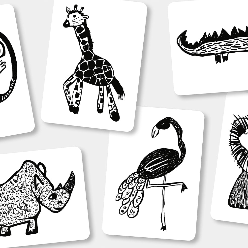 Mini Coco Flash Cards - Safari Mini Coco