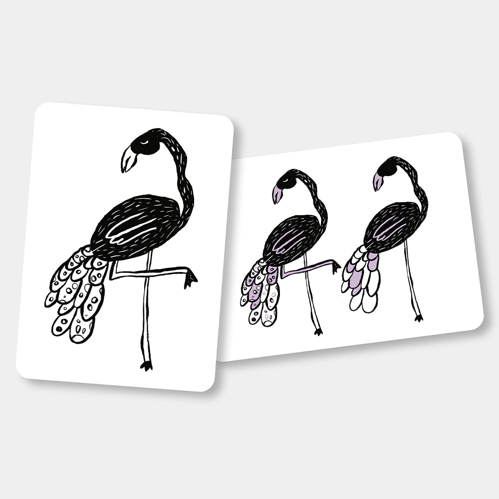 Mini Coco Flash Cards - Safari Mini Coco