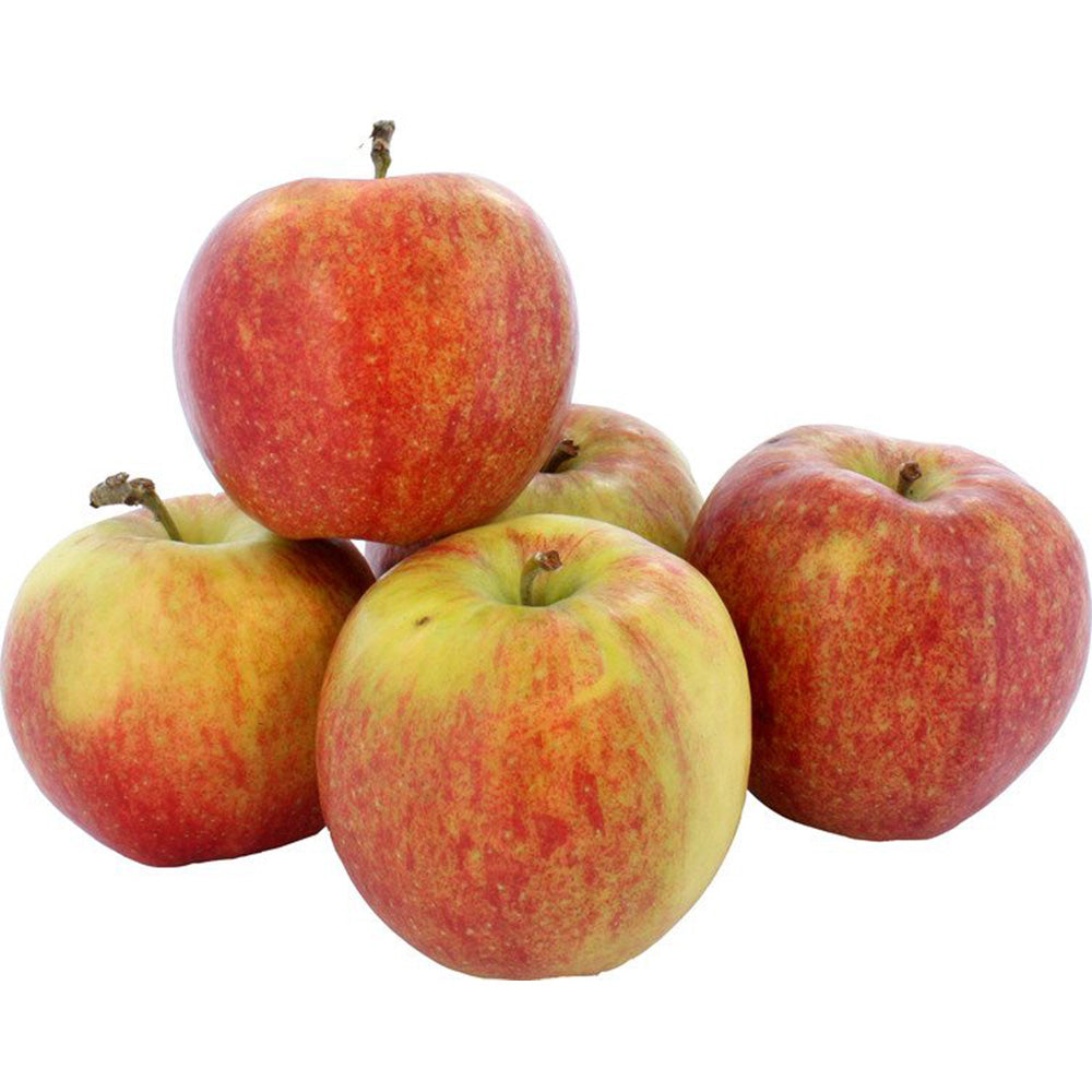 Red Prince Appels