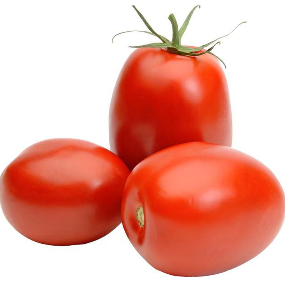 Roma Tomaten