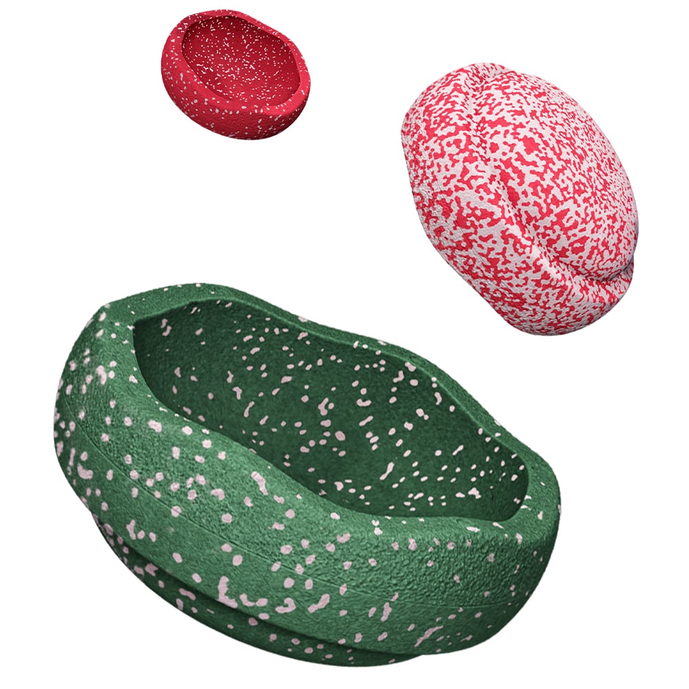 Stapelstein Blush Special Trilogy Set