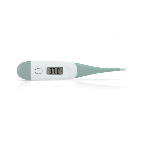 Alecto Digitale Thermometer groen