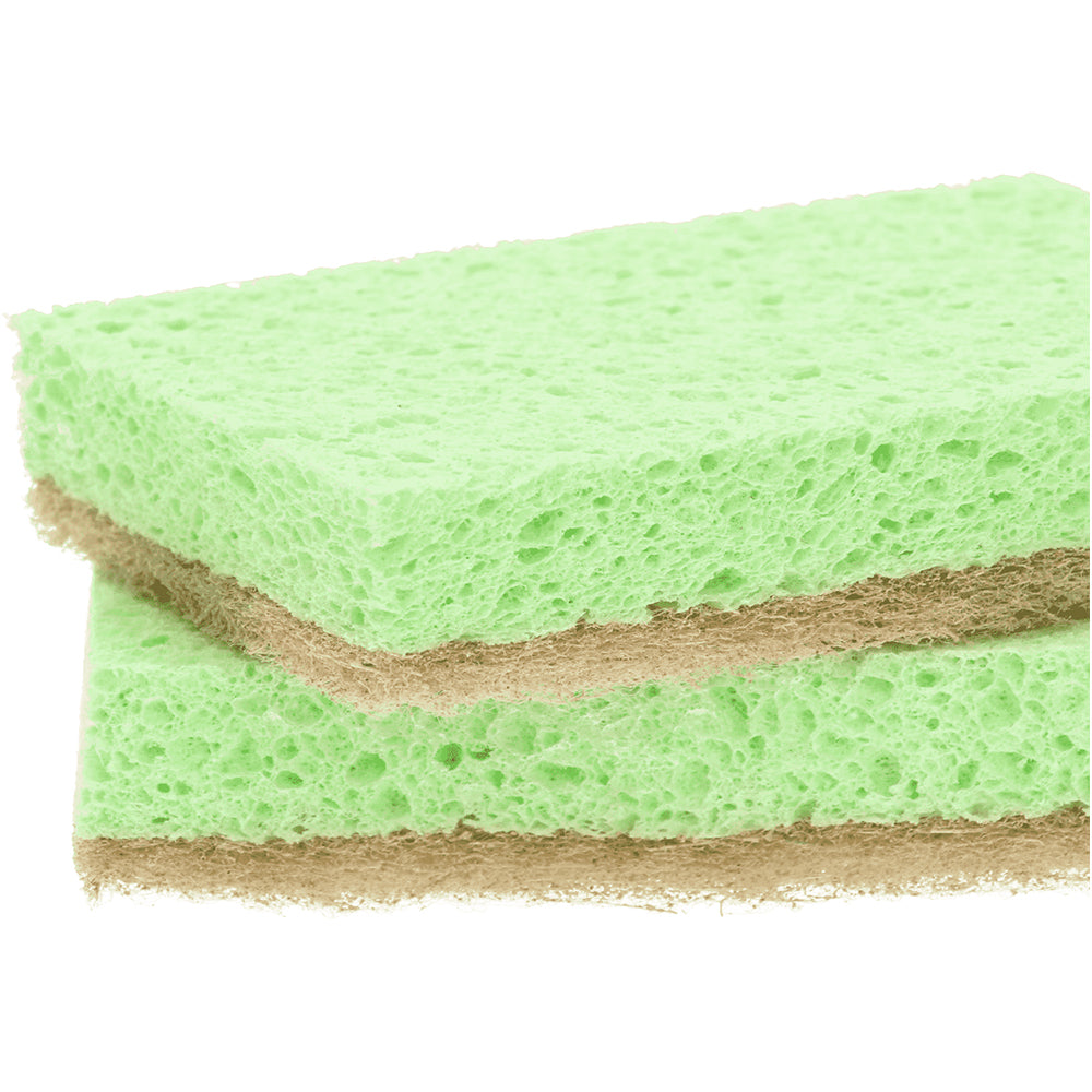 Greenminds schuursponsjes 2